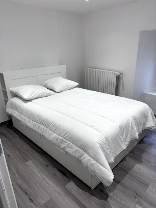Appartement T4 En Hyper-Centre Bourgoin-Jallieu Exterior photo