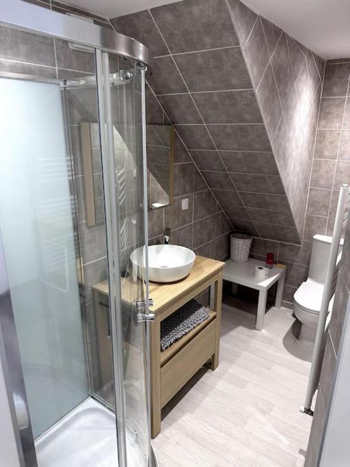 Appartement T4 En Hyper-Centre Bourgoin-Jallieu Exterior photo